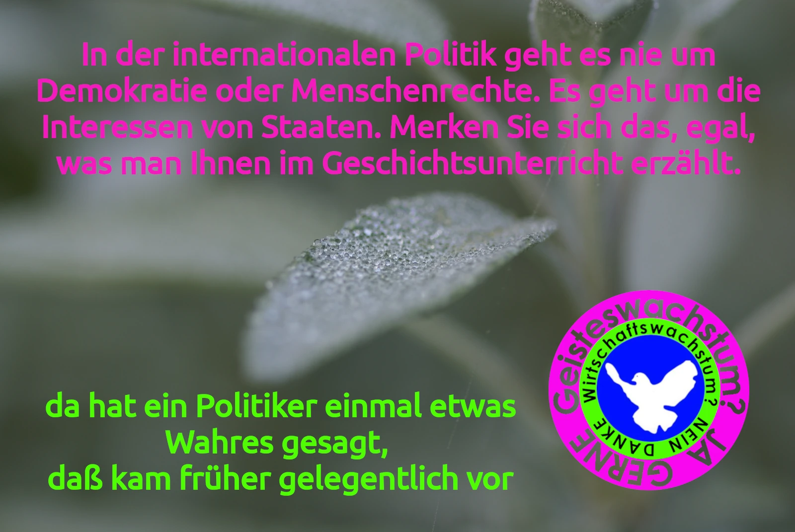 In der internationalen Politik geht es nie um Demokratie oder Menschenrechte. Es geht um die Interessen von Staaten. Merken Sie sich das, egal, was man Ihnen im Geschichtsunterricht erzählt, Nachhilfe für Lehrer, WW?ND, Wirtschaftswachstum? NEIN DANKE